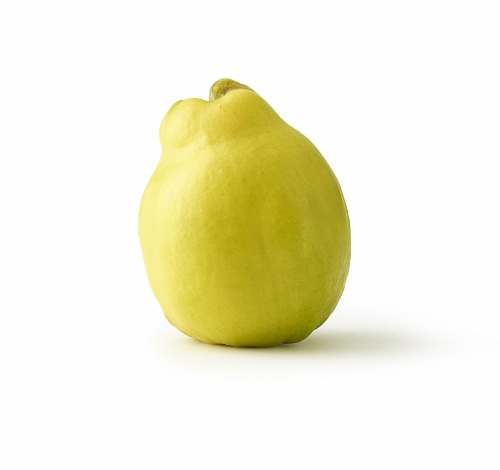 Quince Perspective: front