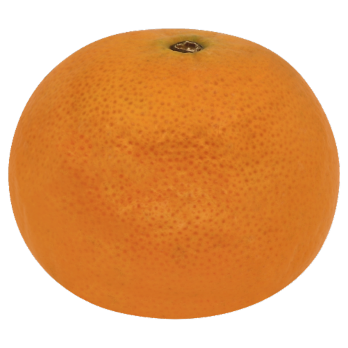 Honey Tangerine - Each Perspective: front