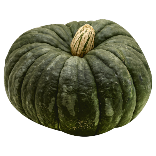 Fresh Grown Heirloom Pumpkins - Each Perspective: front