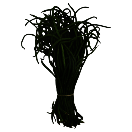Frieda's Chinese Long Beans Perspective: front