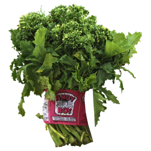 Rapini Greens Perspective: front