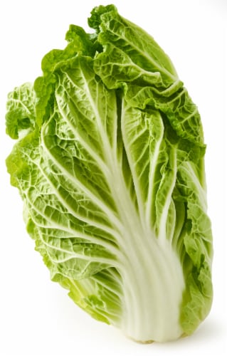 Napa Cabbage Perspective: front