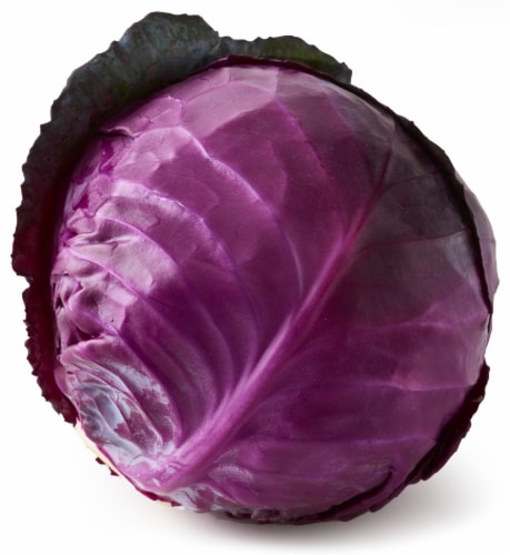 Red Cabbage Perspective: front