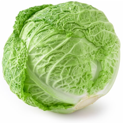 Green Savoy Cabbage Perspective: front
