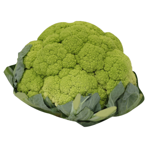 Broccoflower Perspective: front