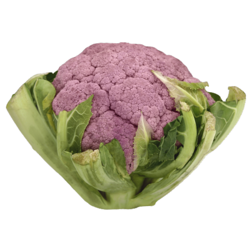 Purple Cauliflower Perspective: front