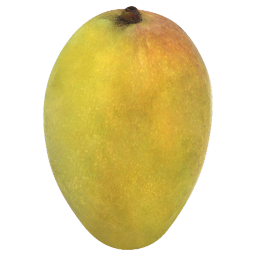 Green Mango, 1 ct Fry’s Food Stores
