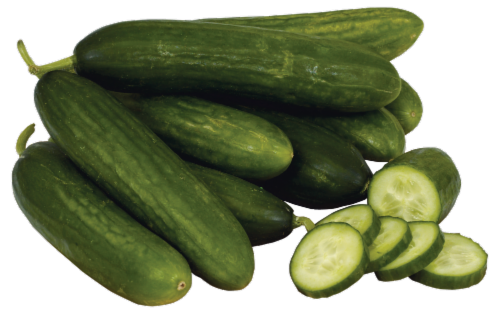 Persian Cucumber Perspective: front
