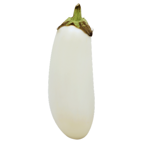 White Eggplant Perspective: front