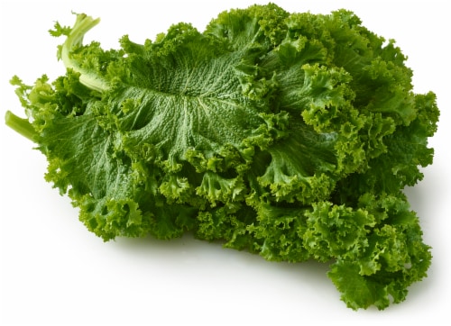 Curly Mustard Greens Perspective: front
