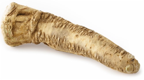 Horseradish Root Perspective: front
