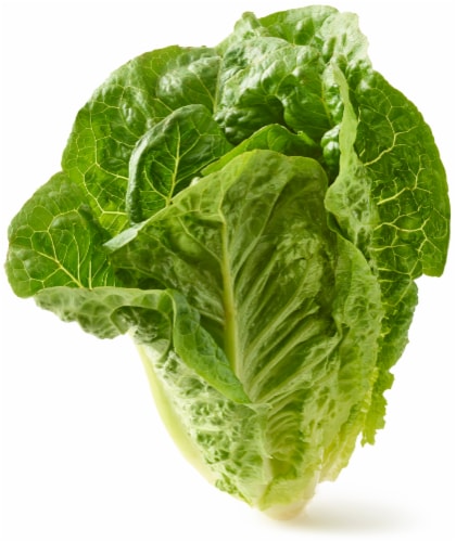 Romaine Lettuce