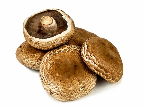 Portabella Mushrooms Perspective: front