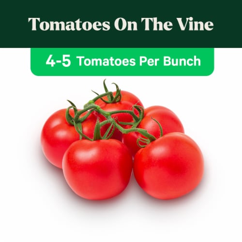 Fresh On the Vine Red Tomatoes-Order by the Bunch (4-5 tomatoes per bunch) Perspective: front