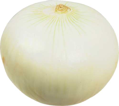 White Peeled Onions Perspective: front