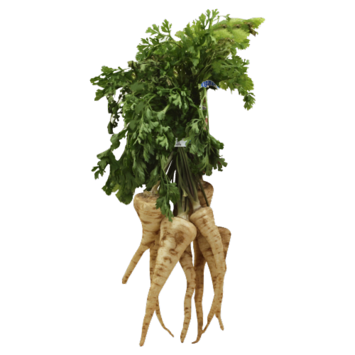 Parsley Roots Perspective: front