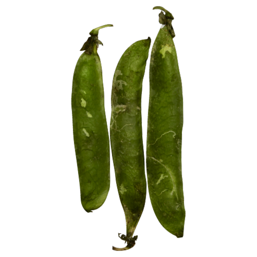 English Green Peas Perspective: front