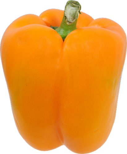 Fresh Orange Bell Pepper Perspective: front