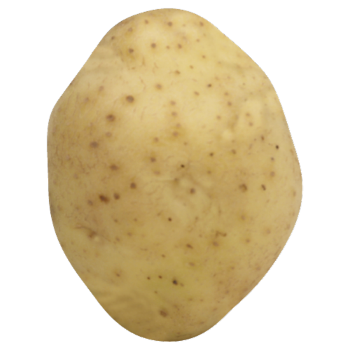 White Creamer Potatoes Perspective: front