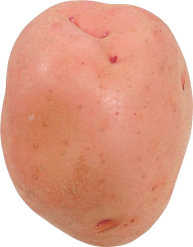 Red Potatoes