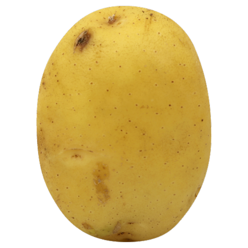 Seed Potatoes Perspective: front
