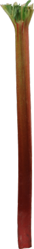 Rhubarb Perspective: front