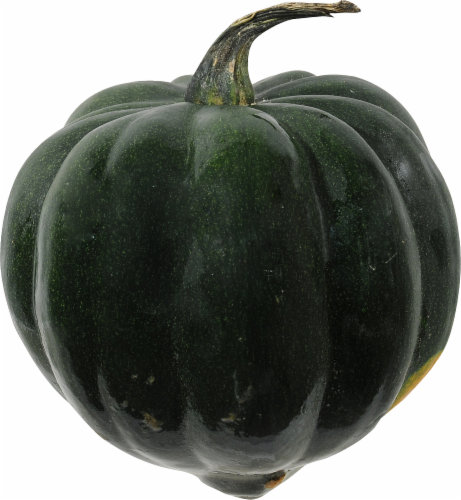 Golden Acorn Squash Perspective: front