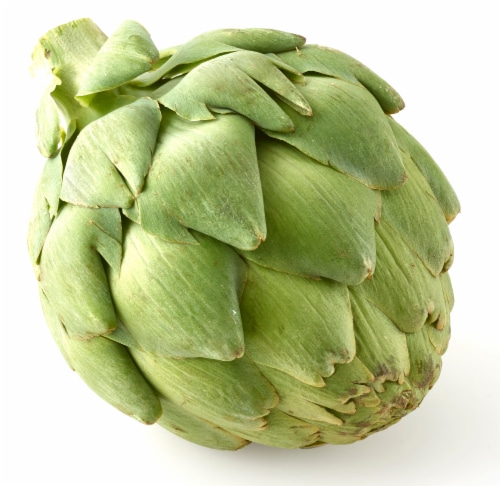 Artichoke Perspective: front