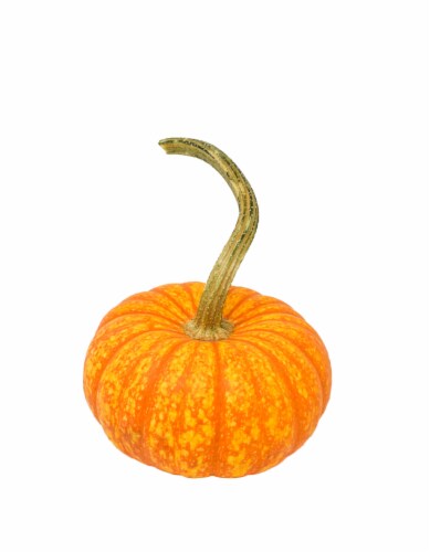 Sparkler Pumpkin Perspective: front