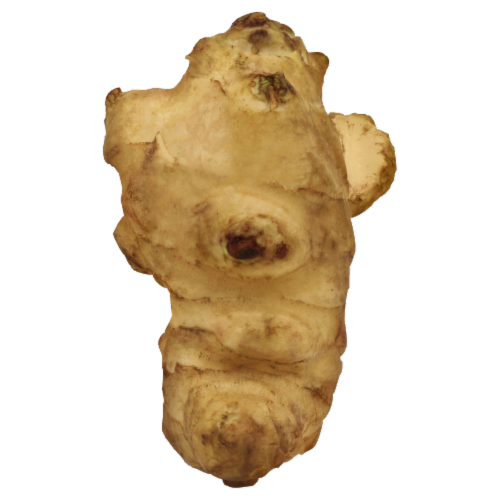 Sunchokes Perspective: front
