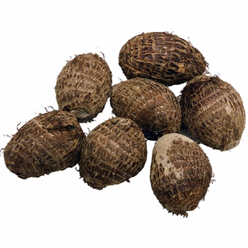 Taro Root Perspective: front