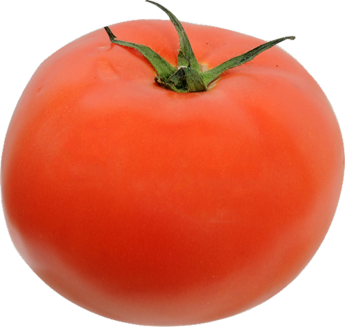 Fresh Red Tomato Perspective: front