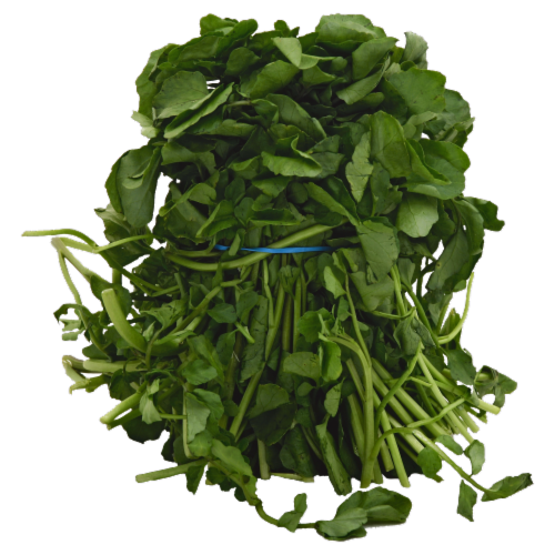 Watercress Perspective: front