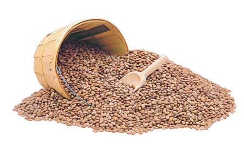 Dried Pinto Beans Perspective: front