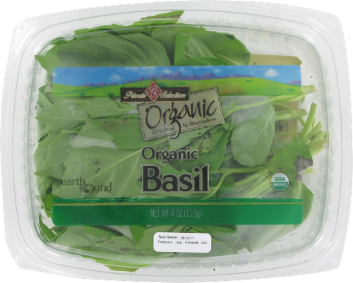 Basil Perspective: front