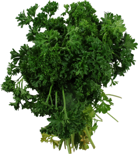 Parsley Perspective: front