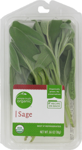 Sage Perspective: front