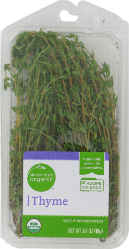 Thyme Perspective: front