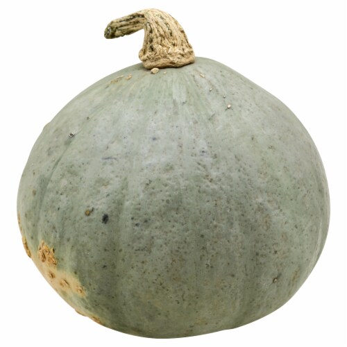 Hubbard Squash Perspective: front