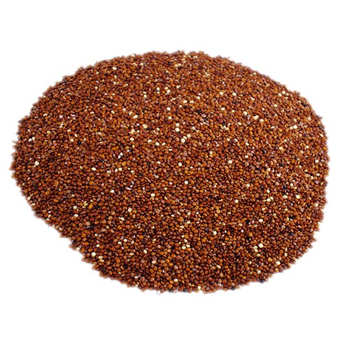 Red Quinoa Perspective: front
