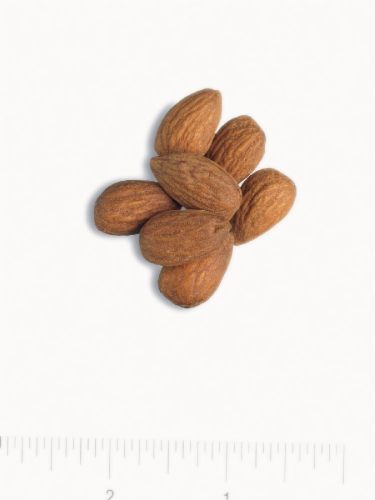 Roasted & Salted Almonds Perspective: front