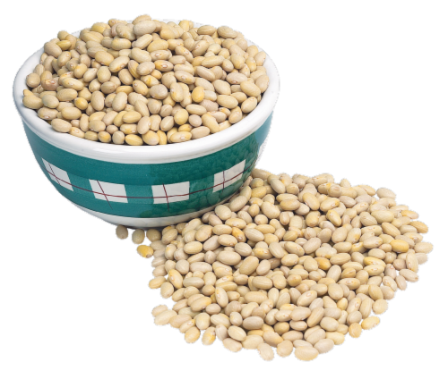 Peruvian Beans Perspective: front