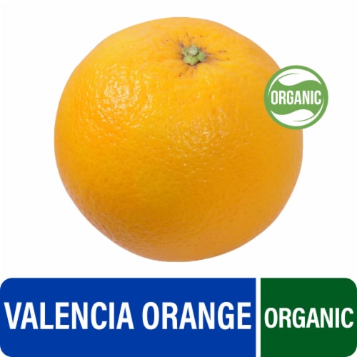 Fresh Medium Organic Valencia Oranges - Each Perspective: front