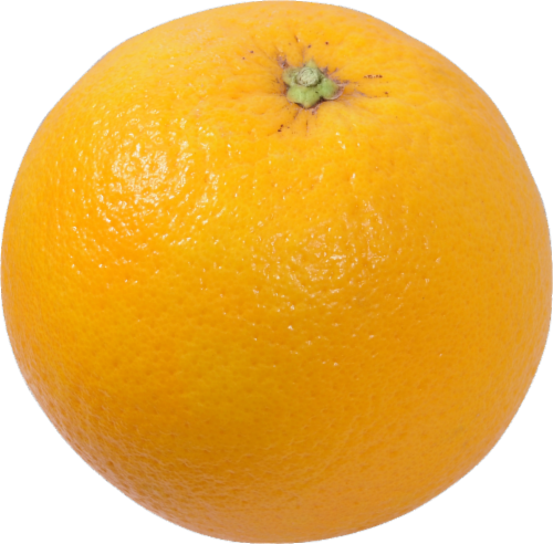 Organic Red Navel Oranges Perspective: front