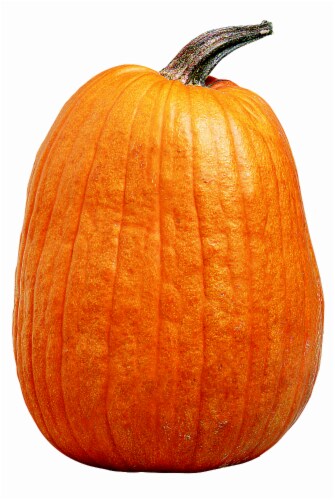 Organic Pie Pumpkins Perspective: front