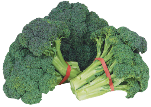 Baby Organic Broccoli Perspective: front
