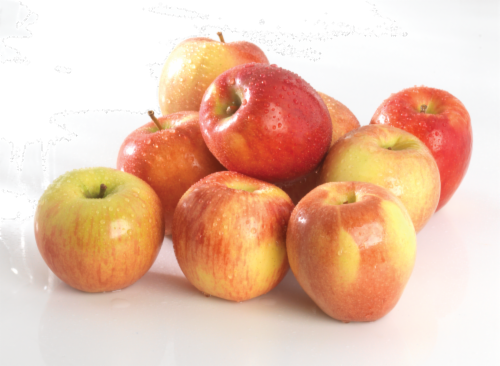 Organic Jazz Large Apples Perspective: front
