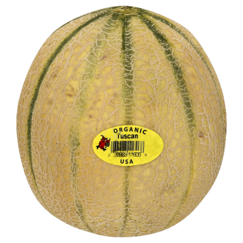 Organic Charentais Melon Perspective: front