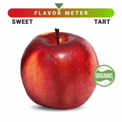 Organic Large Cosmic Crisp Apple - Each Perspective: front