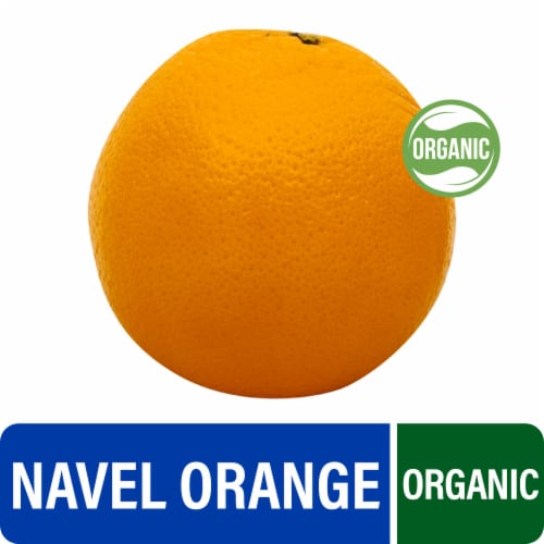 Fresh Large Organic Navel Oranges - Each Perspective: front